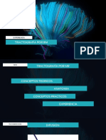 Tractografía Por RM: Experiencia