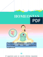 Homeostas IS