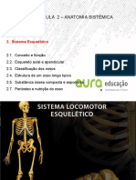 Aura - Aula 2 Sistema Esquelético