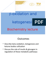 B Oxidationand Ketogenesis 2023