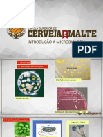 Introdução à microbiologia: morfologia e estruturas de bactérias