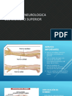 Evaluacion Neurologica Del Miembro Superior