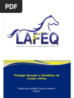 E-Fisiologiamuscularmetabolicaequinos