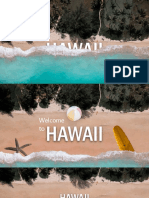 Hawaii Morph Animation Template Brown Variant
