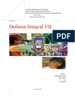 Defensa Integral VII