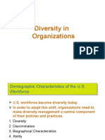 Lecture#2 Diversity in Organization