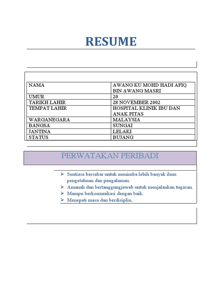 Resume Kerja | PDF