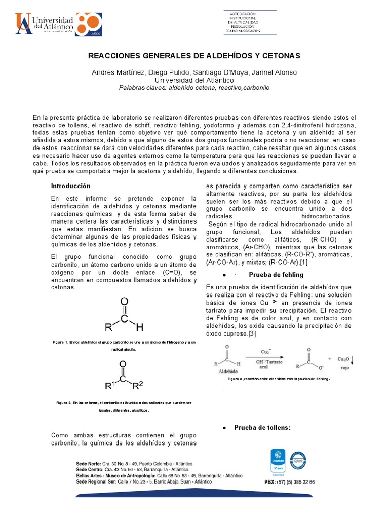 Reacciones de Aldehídos y Cetonas | PDF | Cetona | Compuestos químicos