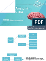 Struktur Anatomi Otak