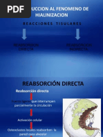 Mi Seminario de Hialinizacion...