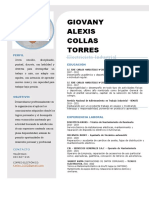 Giovany Alexis Collas Torres: Electricista Industrial