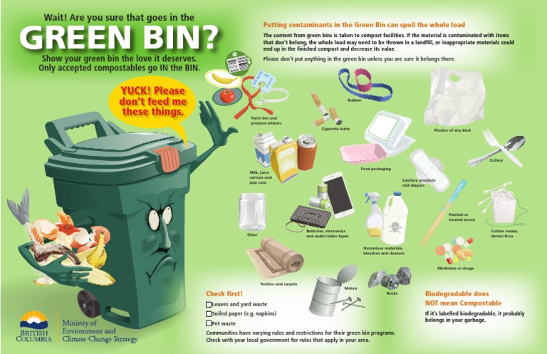 What Goes in The Bin-Poster | PDF | Waste | Biodegradation
