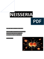 Neisseria: Fisiología, Estructura y Enfermedades