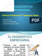 El Diagnóstico Empresarial: Práctica Profesional II-Trabajo de Campo