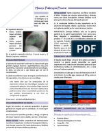 Patología Pleural