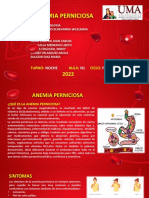 Anemia Perniciosa - Grupo N°9