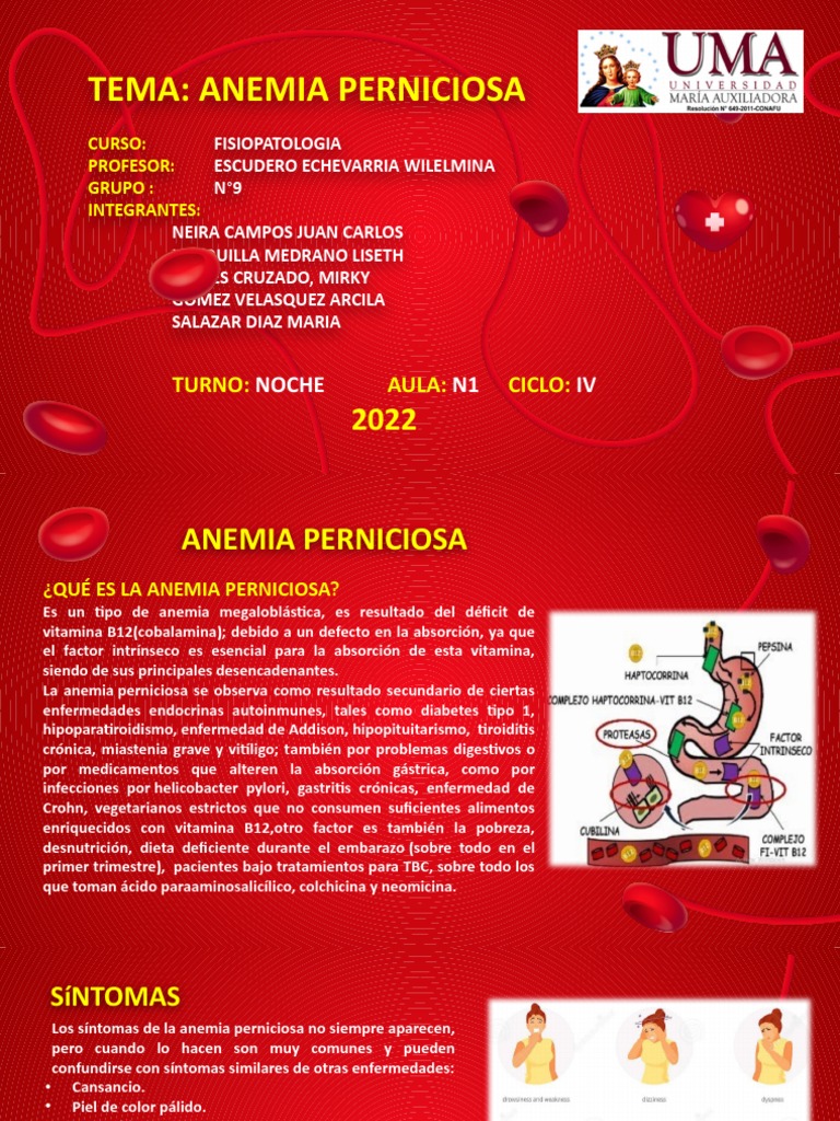 Anemia Perniciosa - Grupo N°9 | PDF | Especialidades Medicas ...
