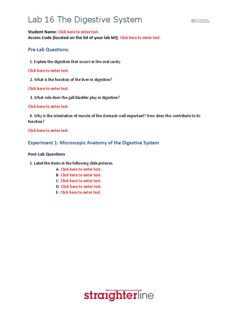 Lab 16: Exploring the Digestive System | PDF | Human Digestive System ...