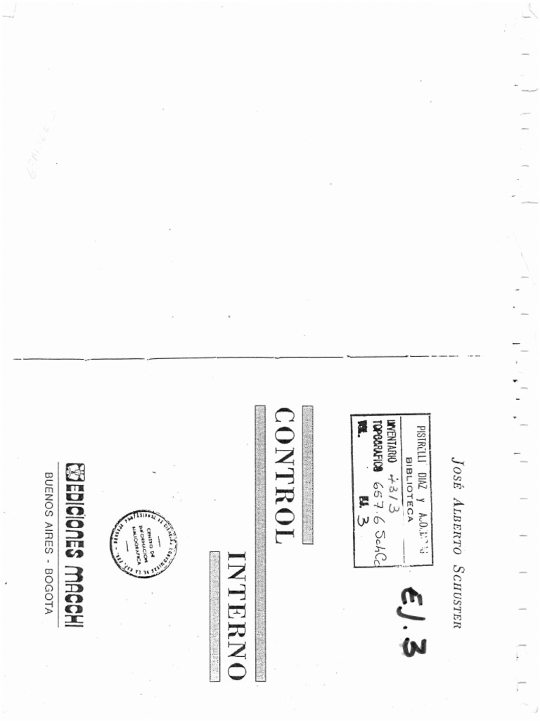 Control interno schuster pdf