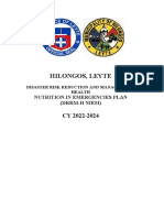 2022-2024 DRMM-H NIEM Plan - Hilongos Leyte - With Edits