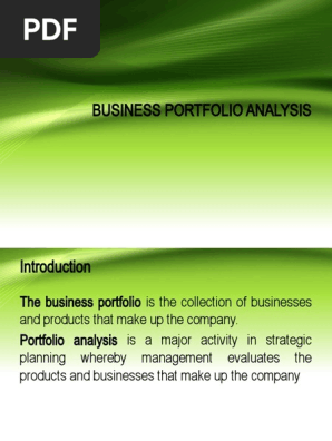 BUSINESS PORTFOLIO ANALYSIS