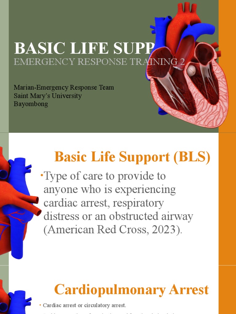 Understanding the Basics of Cardiopulmonary Resuscitation A Guide to