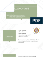 Adenovirus: Refarat