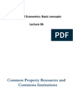 Ecological Economics Common Property Resources Lecture