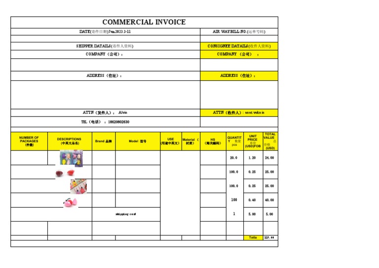 Commercial Invoice | PDF