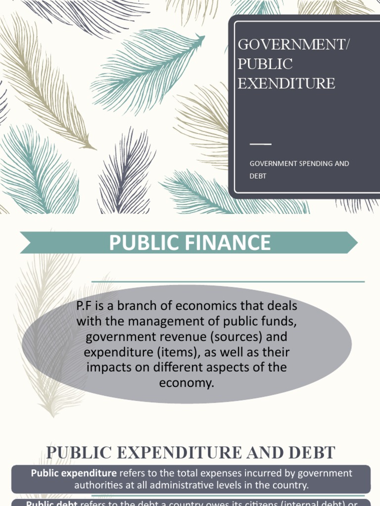 Understanding Government Expenditure Types | PDF | Public Finance | Expense