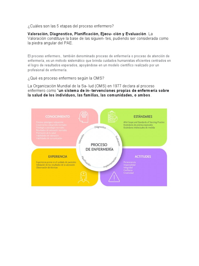 Cuáles son las 5 etapas del