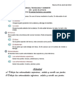 Actividad A) Dibuja Las Extremidades Superiores, Señala y Escribe Sus Partes. B) Dibuja Las Extremidades Inferiores, Señala y Escribe Sus Partes