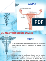 Slide 28 - VAGINA - Anatomia - DR Joasly Oliveira - 2sem - 12-04-22