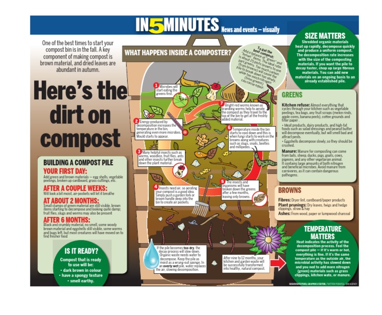 Composting Basics: A Step-by-Step Guide | PDF | Compost | Decomposition