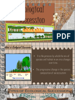 Ecological Succession and Food Chain