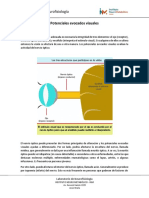 Potenciales Evocados Visuales INM