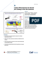 Cuticular Hydrocarbon Pheromones for Social_SURLIGNER