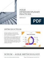 Agile Interdisciplinary Practices