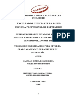 Universidad Católica Los Ángeles Chimbote Facultad de Ciencias de La Salud Escuela Profesional de Enfermería