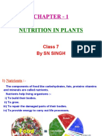 Chapter - 1: Nutrition in Plants