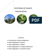 Adapatations of Plants