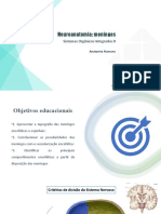 Neuroanatomia: Meninges: Sistemas Orgânicos Integrados II