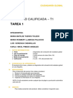 Actividad Calificada - T1: Tarea 1