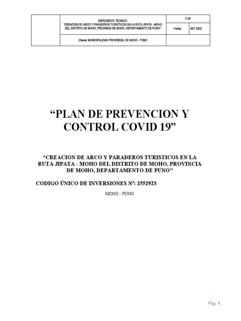 Plan Covid | PDF | Lavado de manos | Salud pública