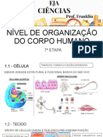 Aula 01 - NÍVEL DE ORGANIZAÇÃO DO CORPO HUMANO