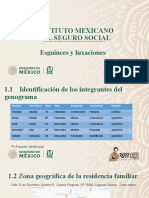 Instituto Mexicano Del Seguro Social Esguinces y Luxaciones