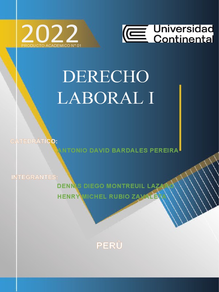 Análisis de la sentencia del Tribunal Constitucional sobre la