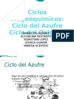 Ciclos Biogeoquimicos