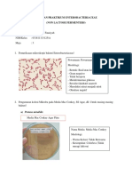Laporan Praktikum Enterobacteriaceae (Non Lactose Fermenters)