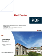 Hotel Puyehue
